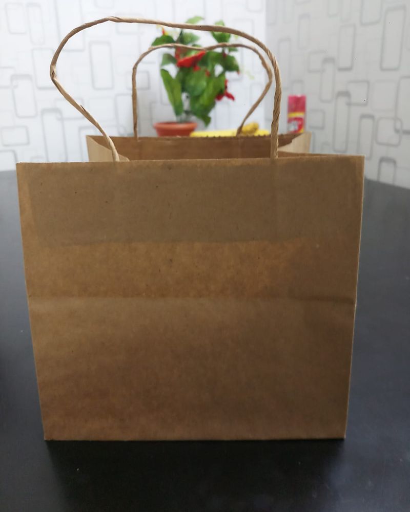 Plain kraft twisted handle paper bag