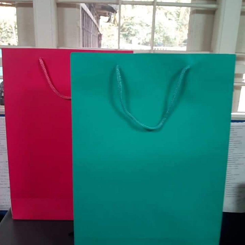 Rope handle bags in coloured board
