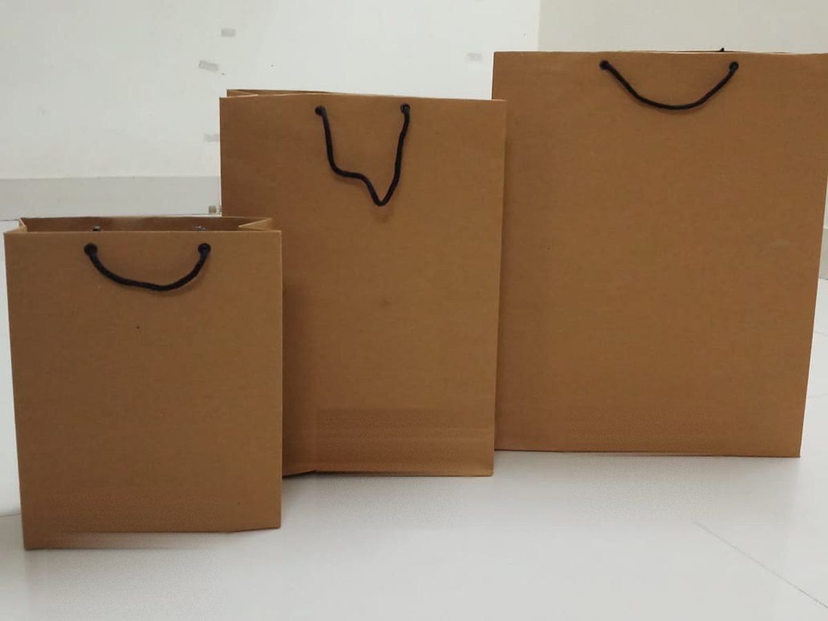 Three kraft paper bags in ascending sizes, with cord handles