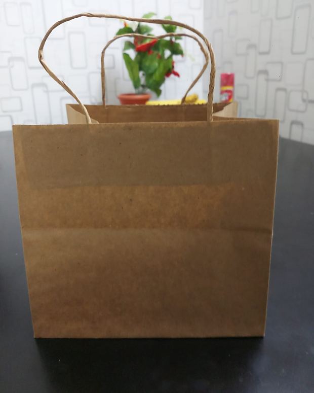 Plain kraft twisted handle paper bag