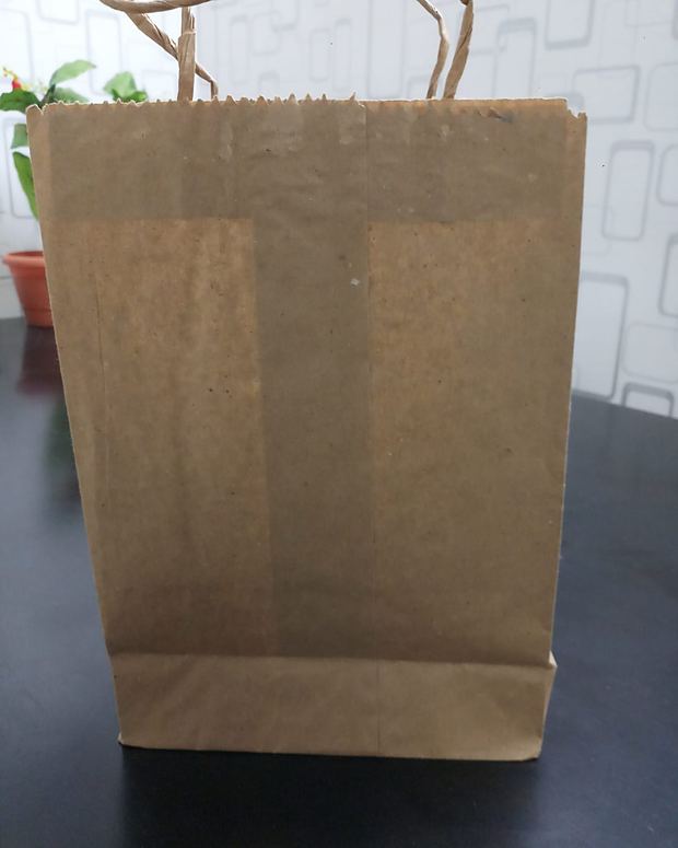 Plain kraft paper bag
